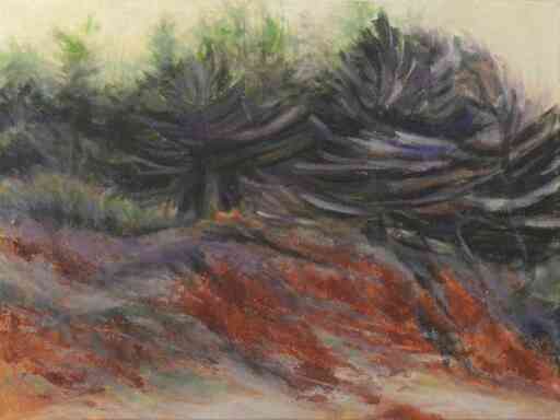 Trees by the Beach PEI 1